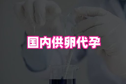 61助孕网 1