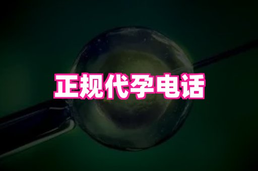 61助孕网 3